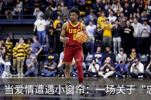 当爱情遭遇小窗帘：一场关于“忠诚”的搞笑闹剧